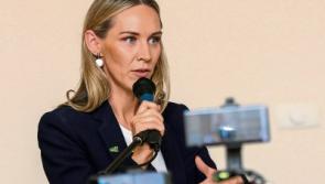 Limerick Chamber seeks urgent meeting with Transport Minister to discuss Aer Lingus’ concerns