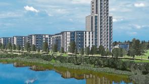 Proposed Limerick development halted by otters could return to planning stage