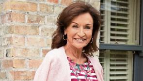 Limerick Fashion: Knitwear is so popular right now - Celia Holman Lee