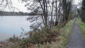 Wild About Wildlife: Exploring Parteen Weir