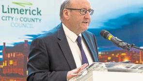 One-off rural houses may be banned without sign-off from Limerick councillors
