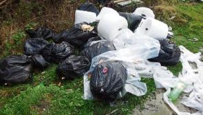 Removal of bins from Limerick streets suggested