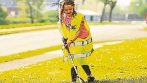 Marigolds at the ready! Major clean up operation in Limerick homes this Good Friday