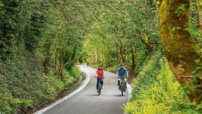 Limerick Greenway reaches another milestone as final section opens to the public