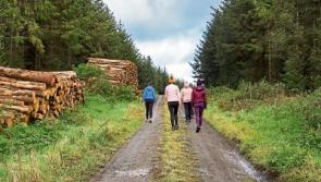Wild About Wildlife: Coolacurragh nature walk
