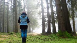 Wild About Wildlife: ‘Trees for the Land’ in Doon