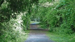 Wild About Wildlife: Going wild in Baggot Estate