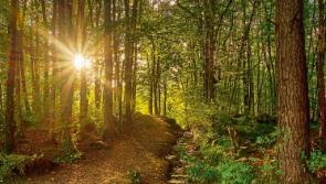 Wild About Wildlife: Nature takes it’s autumn cues