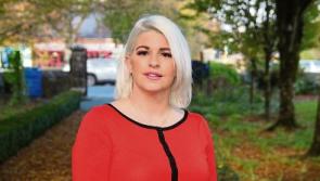 Collins looks to teach the boys’ club a lesson in Limerick constituency 