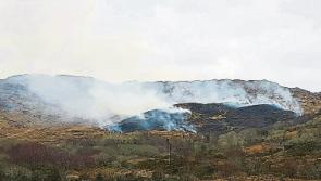 Limerick farmers face ‘burning’ issues as permits are suspended