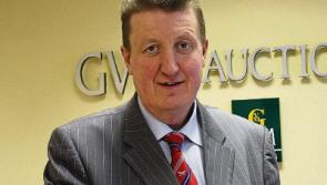 Firm closes €13.6m worth of land deals in Limerick area