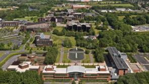 O'Dea urges publication as UL report is finally delivered