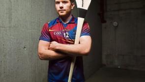 Limerick colleges begin Fitzgibbon Cup campaigns