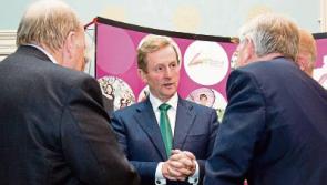 Kenny to launch Fine Gael county Limerick campaign