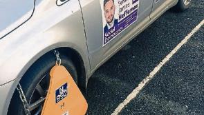 Ruff justice for senator who brings dog into Leinster House after car is clamped