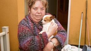 Limerick families&nbsp;'devastated' after Storm&nbsp;Imogen floods