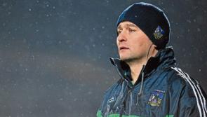 TJ Ryan wants Wexford win to be 'stepping stone' to Limerick promotion