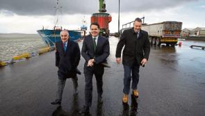 Jobs boost for Foynes as Bord na Móna gets planning for €20m plant