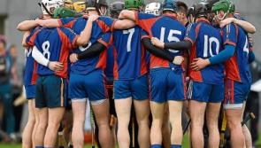 Profiles of all four Fitzgibbon Cup semi-finalists