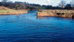 Channel a threat to Feale water supply &nbsp;