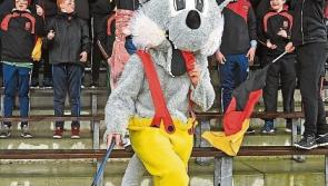 Ardscoil Ris Harty Cup semi final to be streamed live