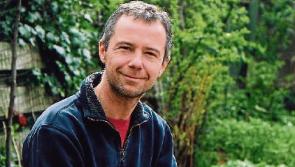 UL appoints head in performing arts