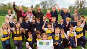 Monster table quiz in aid of Limerick village's sport facility plan