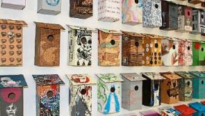 Social-media-esque exhibition