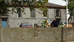 Limerick man given suspended sentence for &euro;5k tree cutting scam