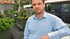 Limerick Chamber meeting to explore ways to revitalise the city