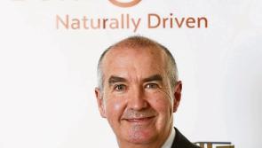 €20m smokeless fuel plant to be operating by summer 2017 in Limerick