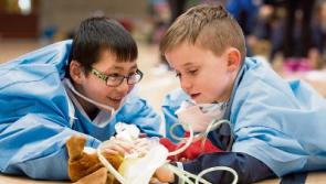 Teddy bear hospital proves 'magical' for Limerick children