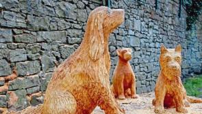 All bark and no bite: Sculptures appear in Limerick's People's Park