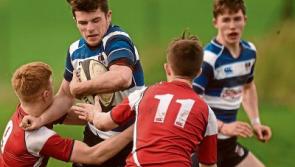 Five Limerick players on Irish U-19s to face France in Dooradoyle