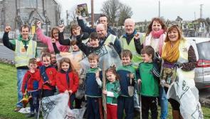 Mammoth clean-up mobilises in Limerick for TLC2