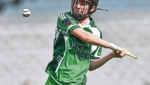 Limerick camogie side into Cork league play-off after Kilkenny defeat