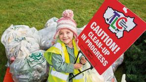 Good family fun and great prizes in store for Team Limerick Clean-up