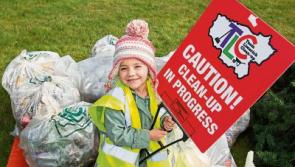 Team Limerick Clean-Up: Days like this are 'good for the soul'