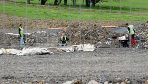 Bronze Age find in Mungret 'won't delay' park works