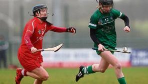 Limerick reach camogie semi-final after win over Cork