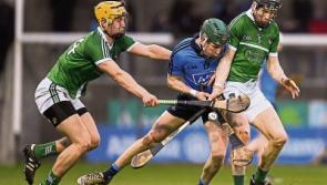 Limerick hurlers insist Dublin win will be launch pad