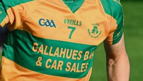 GAA President officially opens Ballylanders GAA facilities