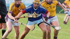 All your Limerick GAA fixtures for the next week