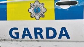 Four charged over brawl at Limerick hotel granted bail