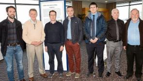 Limerick footbridge plan attacked as 'an act of vandalism'