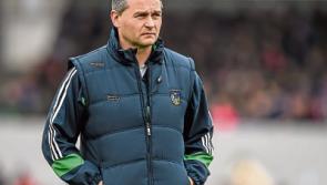 Limerick inter-county hurlers turn to club action