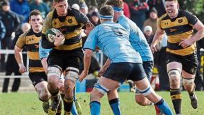 Limerick rugby players shortlisted for club awards