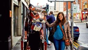 Festival of the 'curious mind' takes place in Limerick