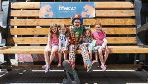 Limerick's Tiger TomCat festival roars on bank holiday weekend