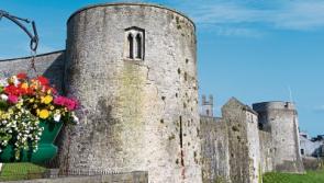 Council proposes 'issues paper' on Limerick's Heritage